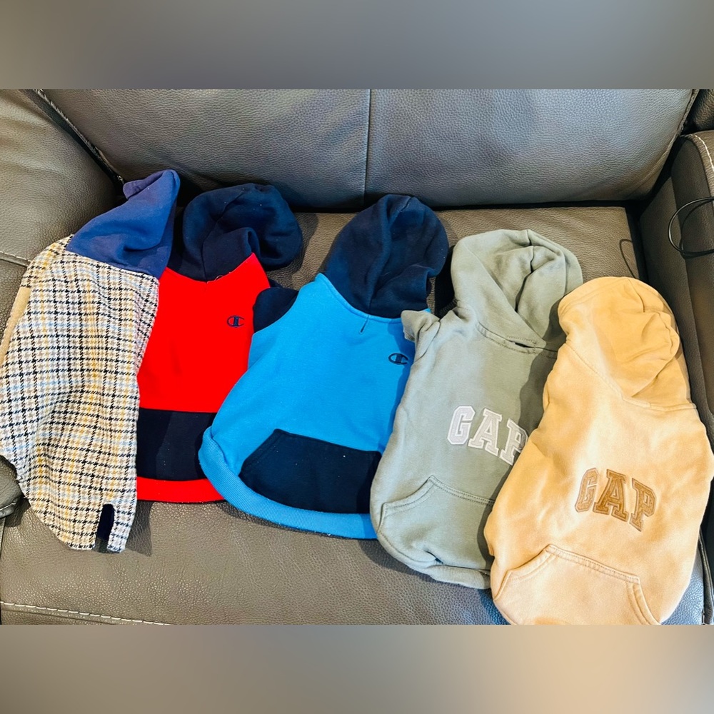 PUPPY 🐶 CLOTHES - GAP&CHAMPION- ‼️SOLD OUT‼️